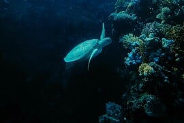 Ανακοίνωση Μητσοτάκη για θαλάσσιο πάρκο στο Αιγαίο: Η Τουρκία αντιδρά, ο Μακρόν στηρίζει τους «Έλληνες φίλους»