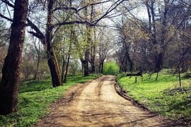 ΕΕ: Νέο σχέδιο για περιορισμένη χρήση πιστώσεων άνθρακα στους κλιματικούς στόχους του 2040
