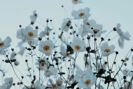 ΚΑΙΡΟΣ ΣΑΒΒΑΤΟ ΚΥΡΙΑΚΗ ΚΡΥΟ