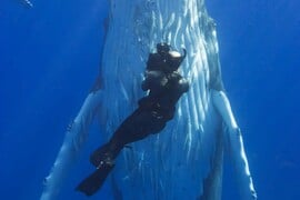 Πέθανε ο Νταγκ Άλαν, ο θρυλικός κάμεραμαν των πολικών ντοκιμαντέρ του Ντέιβιντ Άτενμπορο