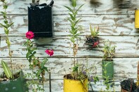 Παγκόσμια Ημέρα Περιβάλλοντος: Γνωρίζετε τι ακριβώς ανακυκλώνουμε στους μπλε κάδους;