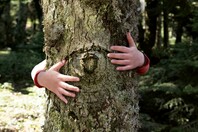 Το πρώτο «έξυπνο» δάσος στην Ελλάδα δίνει μια νέα «πνοή» ελπίδας για το περιβάλλον