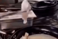 Κάρπαθος: Αντιδράσεις για βίντεο με ψάρια που τηγανίζονται ζωντανά- Σε εστιατόριο