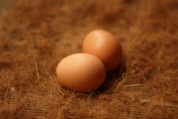 Η χώρα της ΕΕ που προειδοποιεί τους πολίτες να μην καταναλώνουν αυγά από το κοτέτσι λόγω ρύπανσης