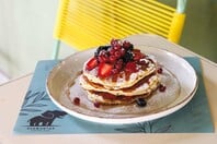 Ελέφαντας Coffee Hub: Διασκέδαση βγαλμένη από μια χαρούμενη γειτονιά