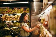 Στα ύψη οι τιμές σε τρόφιμα και ενοίκια παρά την υποχώρηση του πληθωρισμού 