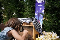 Μικροί Ήρωες Μαθαίνουν: Το πρόγραμμα της Stoiximan που εμπνέει τη γνώση, τη δημιουργικότητα και τη συνεργασία