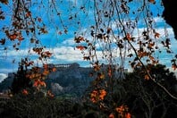 Καιρός: «Καταιγίδες τη Δευτέρα με 30άρια, χωρίς προβλήματα οι παρελάσεις», σύμφωνα με τον Γιώργο Τσατραφύλλια