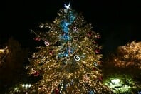 ΧΡΙΣΤΟΥΓΕΝΝΙΑΤΙΚΟ ΔΕΝΤΡΟ ΧΡΙΣΤΟΥΓΕΝΝΑ