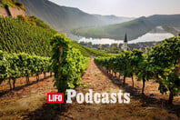 Pfalz: Η νέα δύναμη του Riesling και του Pinot Noir, που «ταράζει» την Ευρώπη