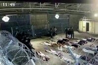 Βίντεο δείχνει Ισραηλινούς στρατιώτες να κακοποιούν σεξουαλικά Παλαιστίνιο κρατούμενο