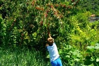 « Βγαίνω από το σπίτι μου το πρωί και πηγαίνω με ευχάριστη διάθεση στη δουλειά»