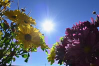 Καιρός - Τσατραφύλλιας: Έρχεται θερμή εισβολή με σκόνη και υψηλές θερμοκρασίες