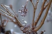 ΚΑΙΡΟΣ ΘΕΟΔΩΡΟΣ ΚΟΛΥΔΑΣ ΧΕΙΜΩΝΑΣ