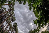 Κακοκαιρία Byron: Κλειστός ο Εθνικός Κήπος - Πότε εξασθενούν τα έντονα φαινόμενα στην Αττική 