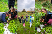 Η Αθηναϊκή Ζυθοποιία χτίζει το μέλλον και η Green Academy ανοίγει δρόμους στη βιωσιμότητα