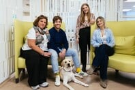 Μια ημέρα με την Έθελ στην MSD: Πώς ένας σκύλος-οδηγός αλλάζει την ζωή στο γραφείο