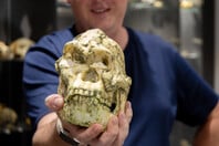 Απολίθωμα-ορόσημο ενδέχεται να ανήκει σε άγνωστο πρόγονο του ανθρώπου