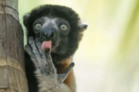 Αυτές είναι οι πιο αστείες φωτογραφίες ζώων του 2025