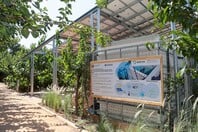 Ένα ακόμα βήμα προς την εξοικονόμηση νερού: Το νέο Σύστημα Αποκεντρωμένης Ανάκτησης Νερού (sewer mining) στο Μαρκόπουλο