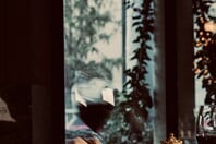 Χριστούγεννα στο ολοκαίνουργιο Zappa με εορταστικό πρόγραμμα και events