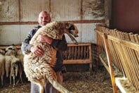 «Έβαζαν στοιχήματα πόσο θα αντέξω, αλλά οι μήνες έγιναν χρόνια»