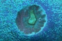 Επιστήμονες έφτιαξαν αντίγραφο του ενδομητρίου και εμφύτευσαν έμβρυα σε πρώιμο στάδιο