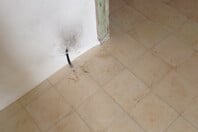 Καλησπέρα, κύριε Παπαστεφάνου