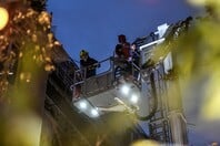 ΚΟΛΩΝΑΚΙ ΔΟΛΟΦΟΝΙΑ ΓΙΟΣ ΣΥΛΛΗΨΗ