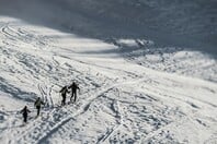 ΝΕΚΡΟΙ ΟΡΕΙΒΑΤΕΣ ΒΑΡΔΟΥΣΙΑ ΠΟΙΟΙ ΕΙΝΑΙ