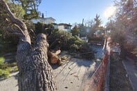 ΘΕΣΣΑΛΟΝΙΚΗ ΑΝΕΜΟΣ ΚΑΚΟΚΑΙΡΙΑ ΠΤΩΣΗ ΔΕΝΤΡΩΝ