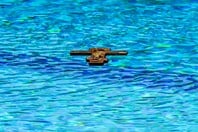 ΘΕΟΦΑΝΕΙΑ ΘΕΟΦΑΝΙΑ ΜΠΑΜΠΙΝΙΩΤΗΣ