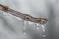 ΚΑΙΡΟΣ ΚΑΛΛΙΑΝΟΣ ΧΙΟΝΙΑ