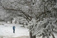ΚΑΙΡΟΣ ΚΡΥΟ ΜΑΡΟΥΣΑΚΗΣ