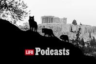 Λύκε, λύκε, είσαι εδώ; Όταν η άγρια ζωή φτάνει στην αυλή μας