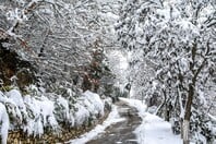 Καιρός: Ψύχος και χιονισμένα τοπία σε Θεσσαλία, Στερεά και Μακεδονία