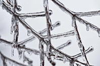 Καιρός: Ξεροβόρι και τσουχτερό κρύο μέχρι την Τρίτη - Βροχές και ισχυροί άνεμοι σήμερα