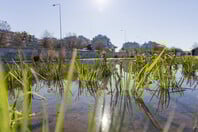 Παραδόθηκε ο αναπλασμένος Ιαπωνικός Κήπος του Νερού στη Νέα Παραλία Θεσσαλονίκης