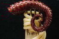 Στο Sea You ξέρουν να αναδεικνύουν ό,τι βγάζει η θάλασσα