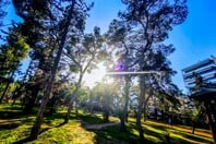 ΚΑΙΡΟΣ ΤΣΙΚΝΟΠΕΜΠΤΗ ΠΩΣ ΘΑ ΕΙΝΑΙ