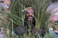 BAD BUNNY ΘΑΜΝΟΙ SUPER BOWL ΧΡΗΜΑΤΑ