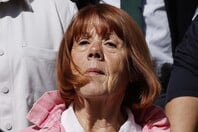 ΖΙΖΕΛ ΠΕΛΙΚΟ ΒΙΒΛΙΟ ΓΑΛΛΙΑ ΒΙΑΣΜΟΣ ΝΤΟΜΙΝΙΚ