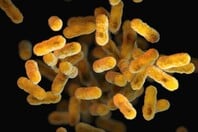 ΕΝΤΕΡΟ ΜΙΚΡΟΒΙΩΜΑ ΥΠΕΡΕΠΕΞΕΡΓΑΣΜΕΝΑ ΤΡΟΦΙΜΑ