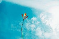 ΧΑΡΤΑΕΤΟΣ ΚΑΛΩΔΙΑ ΚΑΘΑΡΑ ΔΕΥΤΕΡΑ