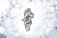 RNA DNA ΑΝΘΡΩΠΙΝΗ ΖΩΗ CAMBRIDGE