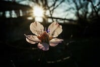 Καιρός - Κολυδάς: «Ο Μάρτιος δεν φαίνεται να επιβεβαιώνει τον χαρακτηρισμό του "γδάρτη"»