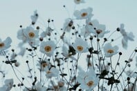 ΚΑΙΡΟΣ ΣΑΒΒΑΤΟ ΚΥΡΙΑΚΗ ΚΡΥΟ