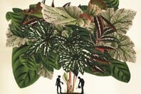 Φτιάξαμε ινσταγκραμικούς κήπους. Ξοδέψαμε περιουσίες. Τώρα μαράθηκαν όλα.