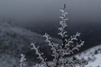 ΚΑΙΡΟΣ ΤΣΑΤΡΑΦΥΛΛΙΑΣ ΚΡΥΟ ΠΑΣΧΑ