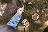 Πώς τα Οικολογικά Σχολεία φέρνουν τη Σύμπραξη της UNESCO για την Πράσινη Εκπαίδευση στην Ελλάδα